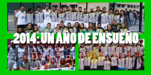 2014: Andalucía encumbra el padel de tres generaciones de oro en una temporada de ensueño